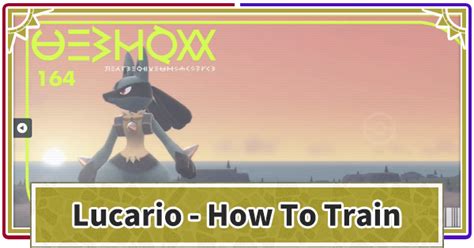 best evs for lucario.